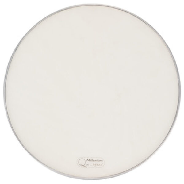 Millenium QuiHead 20" Mesh Head Millenium QuiHead 20" Mesh Head